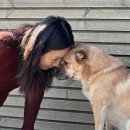 수수라이프 이미지