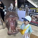 아라마루펜션 | 경남 사천 아이랑 가볼만한곳 - 아라마루 아쿠아리움 동물원, 2층 회전목마 내돈내산 솔직후기