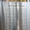 성원장의사 이미지