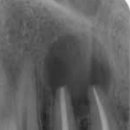 괴정수석치과의원 이미지