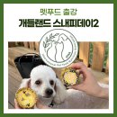 스내피데이 강아지동반 애견동반 대형 카페 간절곶 수영장 댕냥밥상 문해담펫푸드아카데미 강아지수제...