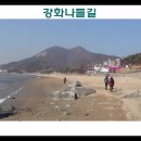 갯벌보러가는길 Daum카페