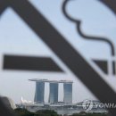 흡연자 싱가포르여행 '비상'..전자담배 소지만해도 벌금 163만원 이미지