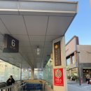 요거샌드 | 이웃집 통통이 베이글샌드 시작?! 압구정점 두바이 쪽득쿠키 메뉴 가격 후기 딸기 초코 쑥 팥 제철과일...