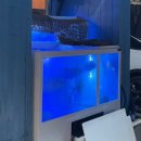 삼산상회 | [울산] 미도상회 - 울산 삼산 제철 대방어 솔직후기 사량도 비교