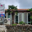 비자림 미담 | 제주 동쪽 구좌읍 평대리 맛집 구좌 비자림미담 월정리세화 직화쭈꾸미 후기