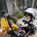 유아어린이집 | 디트로네 유아전동차 유모차 솔직 후기｜어린이집 등하원 완전 달라졌어요!