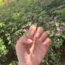 헤세드네일 네이버블로그