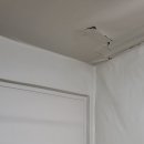 릴리네 애견미용실 이미지