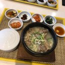 강성물회 회 구이 이미지