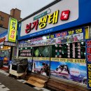 본가생태 이미지