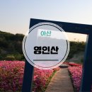 아산 영인산 충남 4월말 5월 철쭉 연산홍 일몰을 한번에 볼 수 있는 장소