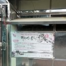 창녕군성산면대견보건진료소 | 윤코치님 맛만볼까 보고 찾아간 창녕 효정식육식당 삼겹살 맛집