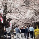 응암근린공원 | [공지] 🌸 2026년 4월 서울, 봄이 폭발한다! “인생샷+추억+설렘” 한 번에 터지는 TOP10 축제 완전 정복...