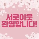 미스터 쌀 호두과자 이미지