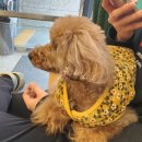 용인해성동물병원 이미지