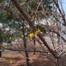 한들방죽공원 이미지