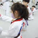 즐거운세종태권도장 | 대구에서 발견한 우리 아이의 즐거운 놀이터, 즐거운세종태권도장!