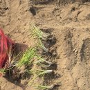 팔현농장 이미지