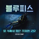 공지] [ 스쿠버다이빙 / 프리다이빙 ] 수영 못하는 왕초보부터 트레이닝까지 완벽하게 가능한 " 블루피스 "