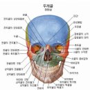 엘린바른자세연구소
