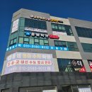 금강태권도 효교육관 이미지