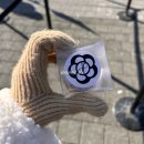 사랑합니다 LOVE | 260207 G-DRAGON 'FAM' MEETING [FAM+ILY : FAMILY : FAM I LOVE YOU] IN SEOUL✨🤍