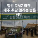 대위리 | [철원 DMZ 마켓 후기] 고석정 근처 가볼만한 곳! 볼거리 가득한 농특산물 장터