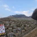 1533 | 휀스 울타리 태양광 설비 시공후기