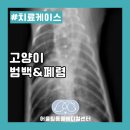 어울림동물메디컬센터 이미지