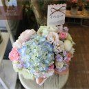 [일산꽃배달/마두동꽃배달/백석동꽃배달] 축하선물로 꽃배달된 파스텔색감의 아름다운 꽃바구니선물 이미지