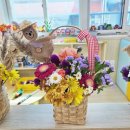 가득초등학교 | 🌻 성남 금상초등학교 원예수업 후기 │ 허수아비 꽃바구니 만들기 꽃놀이 수업 🍁 (출강 가능 / 키트...