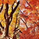 구리둘레길(2코스) 이미지