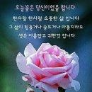 오늘꽃