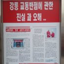 해명짬뽕 이미지