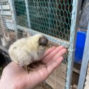 유배지 민박 이미지