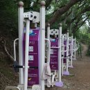 황령산유원지 생태숲 이미지