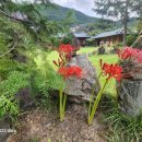 청도한옥민박 이미지