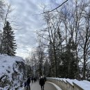 다봉식당 | 독일여행 코스 뮌헨 근교 투어 노이슈반슈타인성 가는법