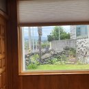 애월담담 이미지