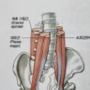 바른메디 이미지