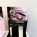 1337 | 눈매가 달라진 리얼 리뷰! 그리다윤에서 속눈썹 관리 받고 온 진짜 후기