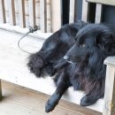 대박민박 이미지