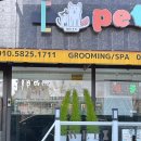 페티포티 이미지