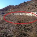 대월체육시설 이미지