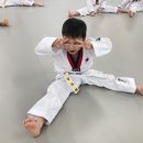 눈부시게 빛나는 태권도장 이미지