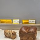 꽃피는4월밀익는5월 이미지