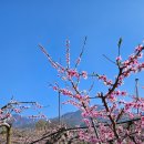 한은농장 이미지