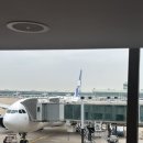 뽀빠이목장 | 벼락치기 도쿄 여행, 아무것도 안 했는데 끝나버린 1일차