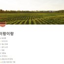 [오디어리 예피디님 피드백 후기] 실은 팟캐스트를 만들고 있습니다 (ft. 지윤 승희)